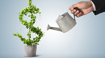 Small Investors Return & Profit